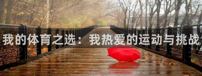 意昂5Kgame2平台注册：我的体育之选：我热爱的运动与挑战
