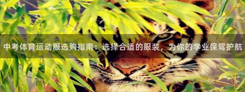 意昂5Kgame集团：中考体育运动服选购指南：选择合适的服装，为你的学业保驾护航