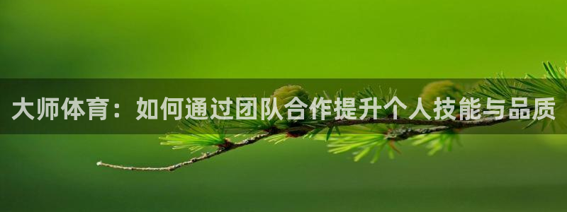 意昂5Kgame登录：大师体育：如何通过团队合作提升个人技能与品质