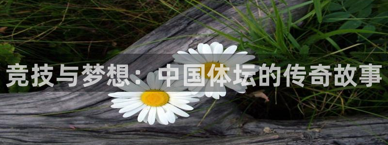 意昂5Kgame体育官网注册：竞技与梦想：中国体坛的传奇故事
