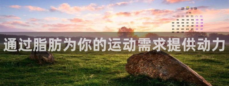 意昂5Kgame登录注册：通过脂肪为你的运动需求提供动力