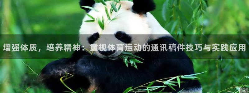 意昂5Kgame体育凯捷平台代理：增强体质，培养精神：重视体育运动的通讯稿件技巧