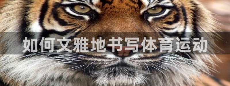 意昂5Kgame2平台：如何文雅地书写体育运动