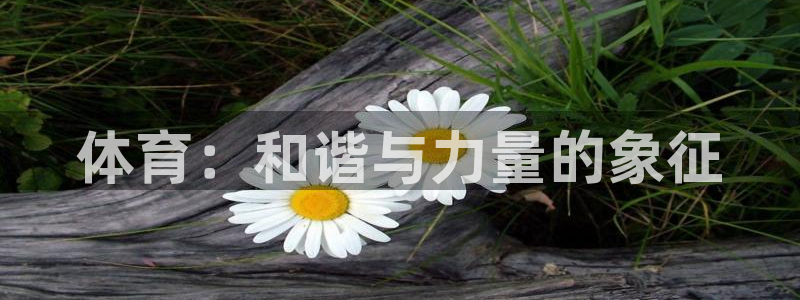 意昂5Kgame2登录：体育：和谐与力量的象征