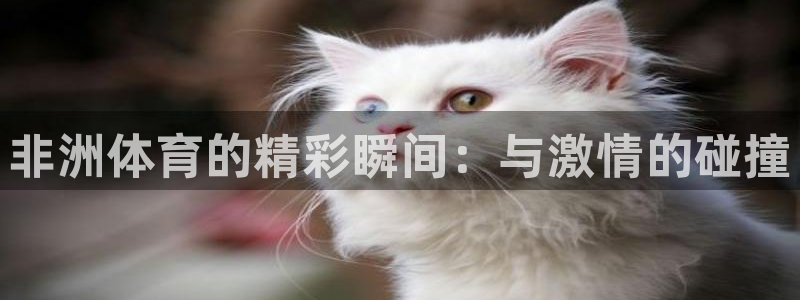 意昂5Kgame体育凯捷登陆：非洲体育的精彩瞬间：与激情的碰撞