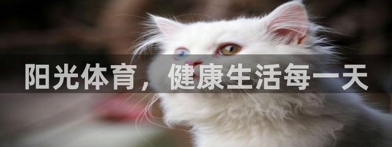 意昂5Kgame体育凯捷代理注册：阳光体育，健康生活每一天
