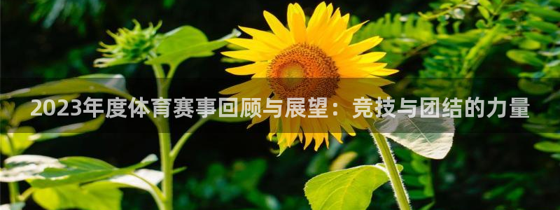 意昂5Kgame3代理：2023年度体育赛事回顾与展望：竞技与团结的力量