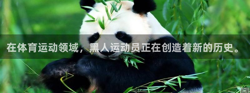 意昂5Kgame凯捷平台注册链接：在体育运动领域，黑人运动员正在创造着新的历史。