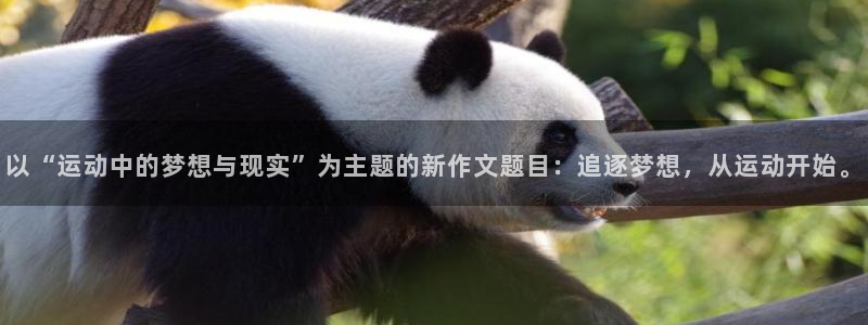 意昂5Kgamef平台注册：以“运动中的梦想与现实”为主题的新作文题目：追逐梦想