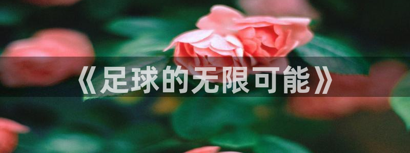 意昂5Kgame平台注册：《足球的无限可能》