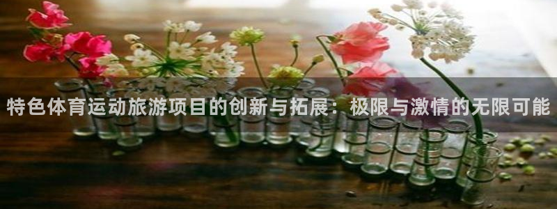 意昂5Kgame官网注册：特色体育运动旅游项目的创新与拓展：极限与激情的无限可能